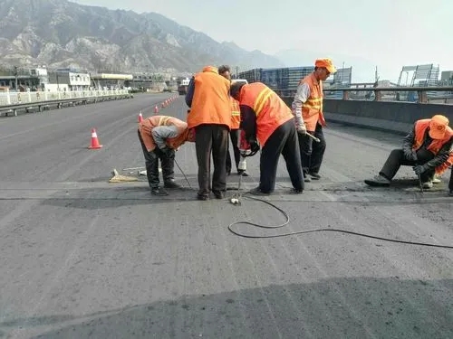 板桥镇道路桥梁病害治理